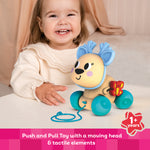 Kids Hits Educational Toddler Push and Pull Toy Deer