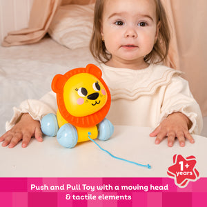 Kids Hits Educational Toddler Push and Pull Toy Lion Yellow